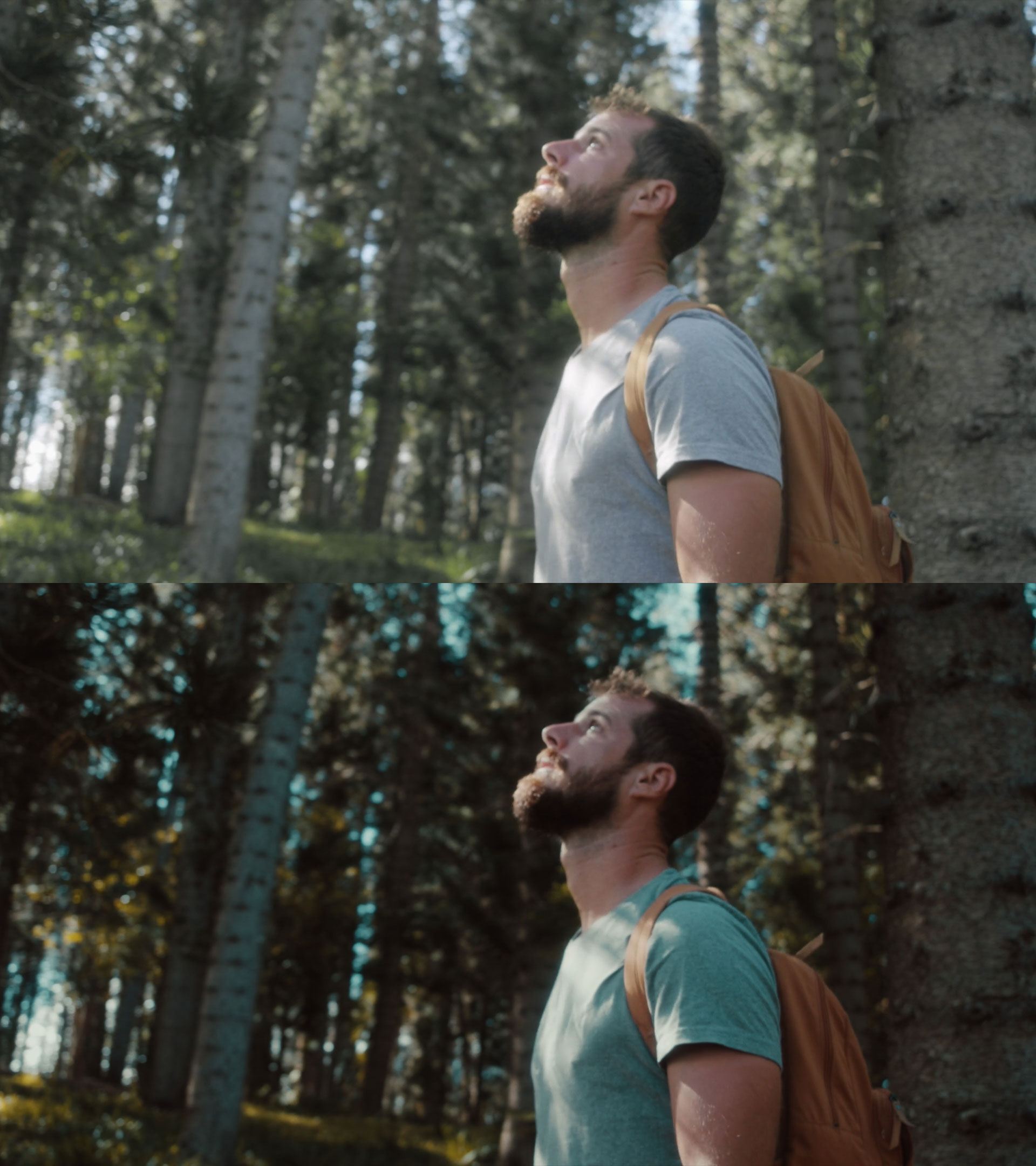 Combo Lut Cinematic Pack - Image 4