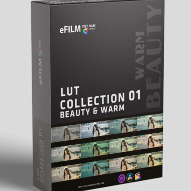 LUT COLLECTION 01 – BEAUTY & WARM