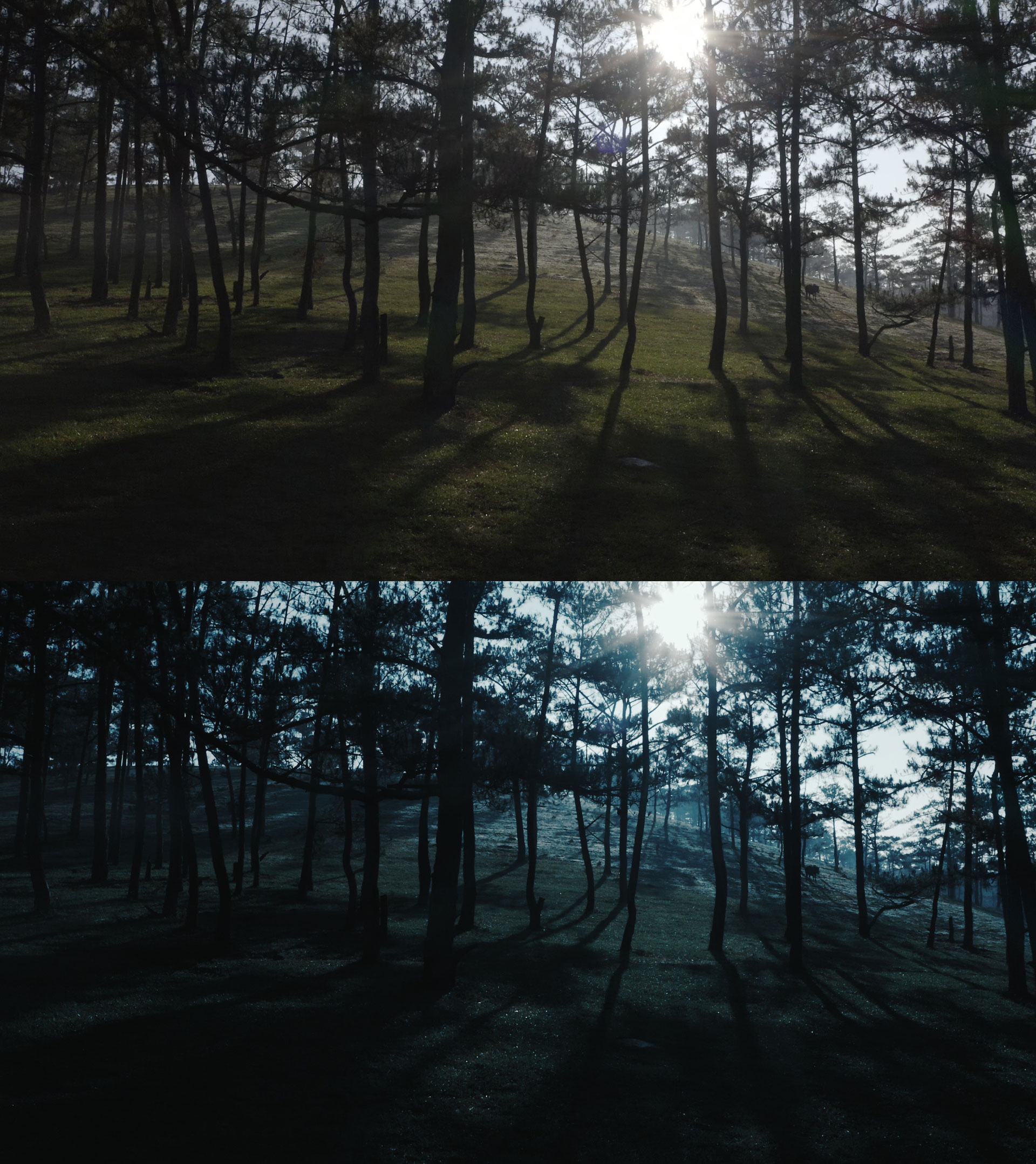 Lut Movie Style 02 - Horror Look - Image 2