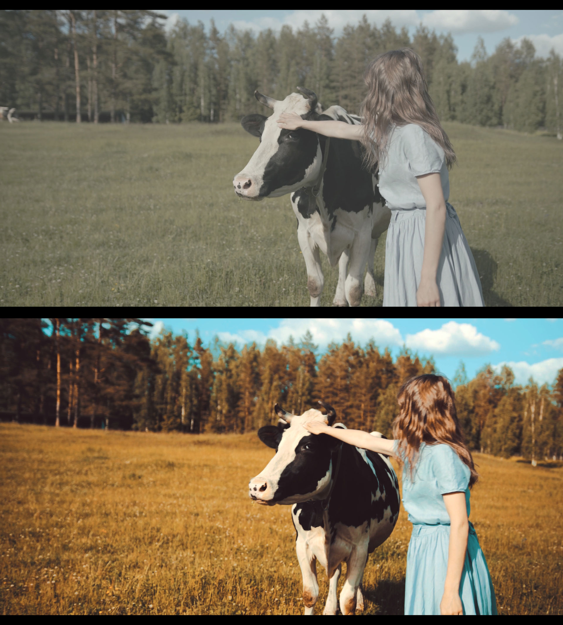 Lut Teal Orange Style - Image 9