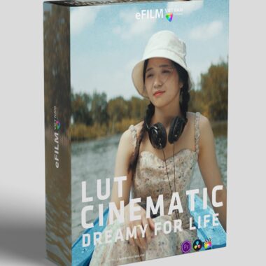 FREE - 4 LUTS DREAMY FOR LIFE